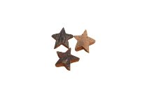 coco stars