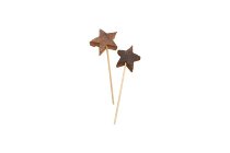 coco star on stick