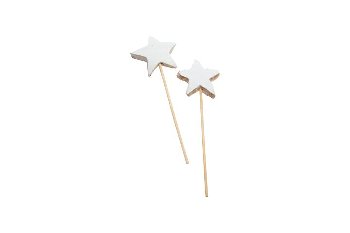 coco star on stick