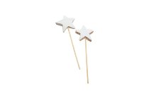 coco star on stick