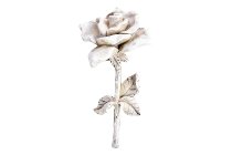poly rose