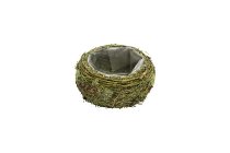 grass/moss planter