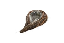Holzrinde/Rebe-Pflanzschale