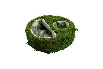 moss planter