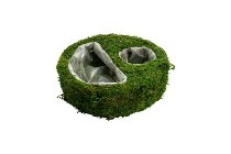 moss planter