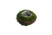 moss/twing planter bowl