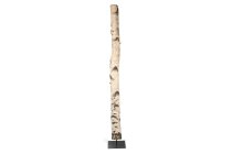 birch trunk w metal plate