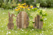 Nature Easter