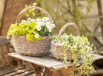 planters