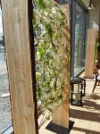 wood plank, 24-32cm